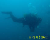 DM擾