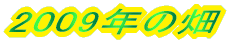 2009N