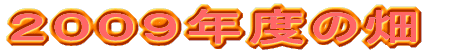 2009Nx̔ 