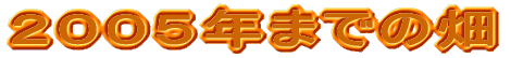 _bV̔