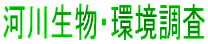 ʒ
