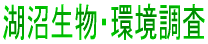 ʒ
