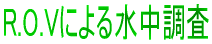 ʒ