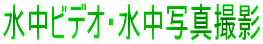 ʒ